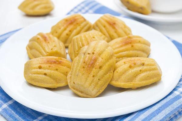 Hausgemachte Madeleine-Plätzchen — Stockfoto