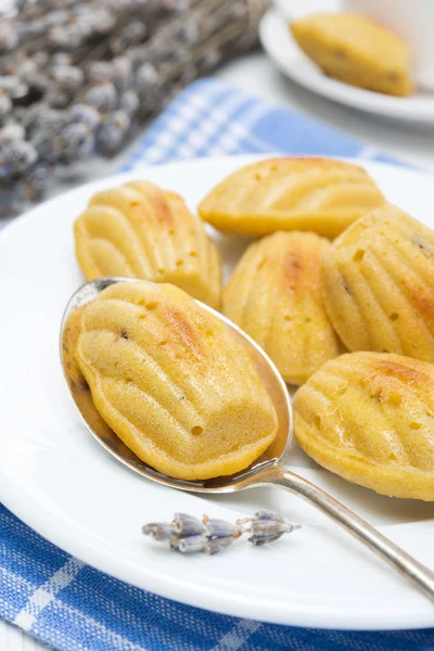 Madeleine cookies med lavendel — Stockfoto