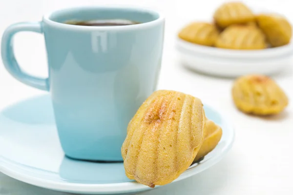 Biscuits Madeleine et une tasse de café sur fond blanc — Photo