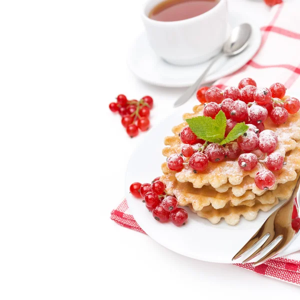 Waffles with red currant, sprinkled powdered sugar for breakfast — Stock Photo, Image