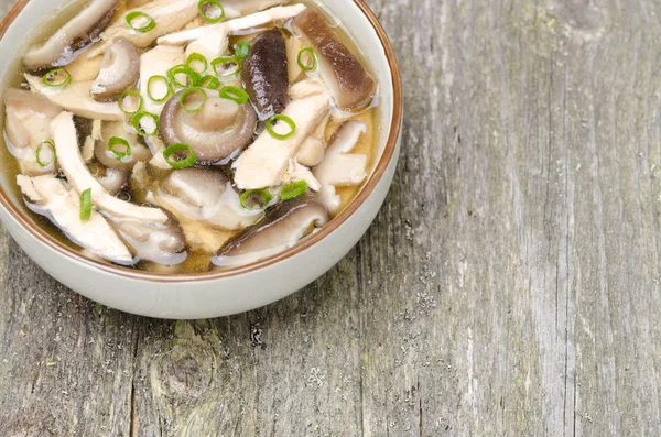 Sopa china con pollo, champiñones shiitake y cebolla verde — Foto de Stock