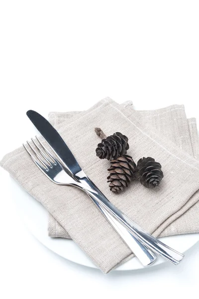 Tenedor, cuchillo, servilleta y conos de pino en un plato —  Fotos de Stock