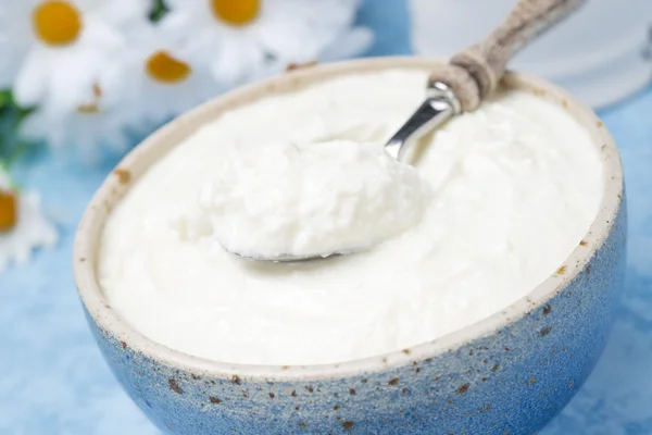 Hemlagad naturell yoghurt i en skål, närbild — Stockfoto