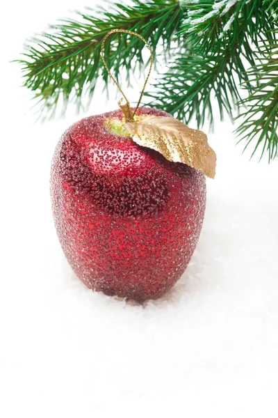 Roter Apfel auf Schnee unter Tannenzweig — Stockfoto