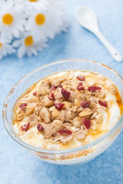 Akçaağaç şurubu, granola ve fındık ile ev yapımı doğal yoğurt