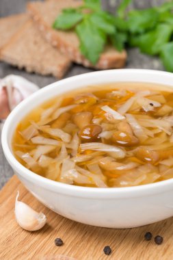 geleneksel Rus lahana çorbası (shchi) yabani mantar ile