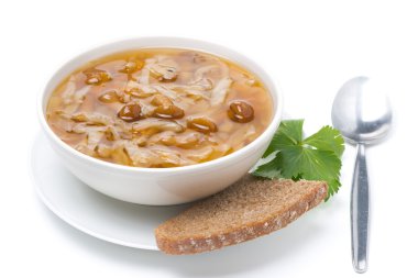 geleneksel Rus lahana çorbası (shchi) yabani mantar ile