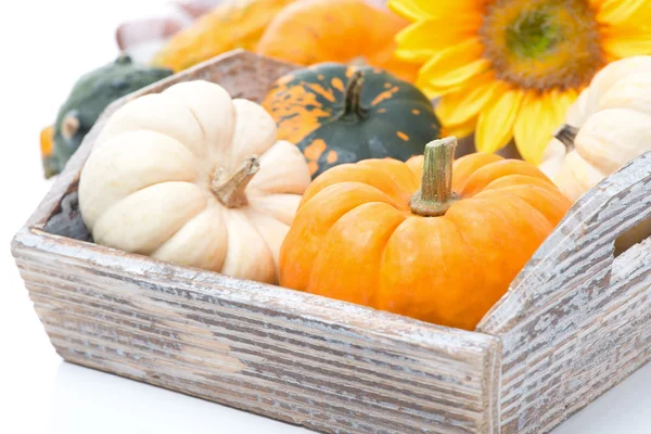 Pumpkins in wooden tray, close-up, selective focus — Stock Photo, Image