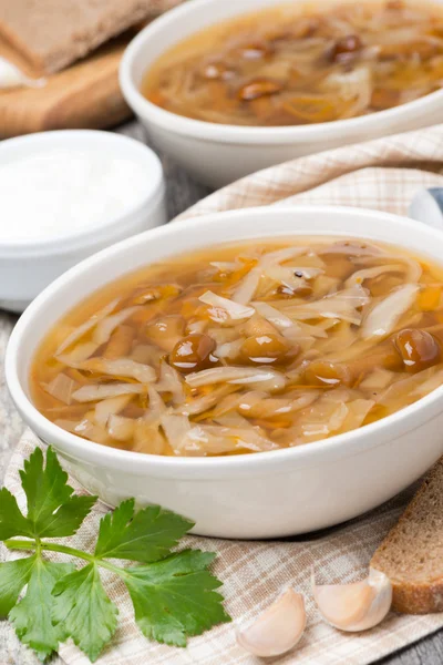 Traditional Russian cabbage soup (shchi) with mushrooms — Stock Photo, Image