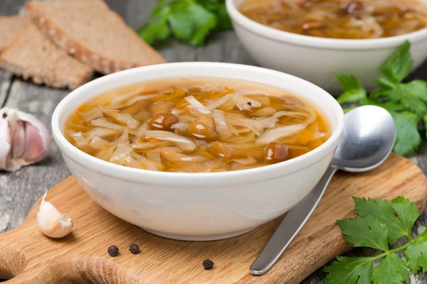 Sup kubis tradisional Rusia (shchi) dengan jamur liar — Stok Foto