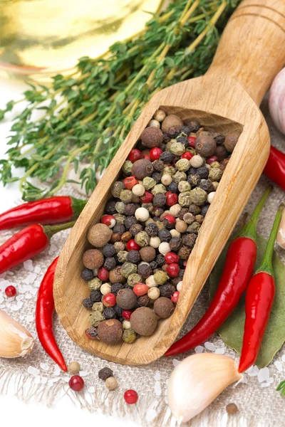 Spices - fresh and dried peppers, garlic, thyme and olive oil — Stock Photo, Image