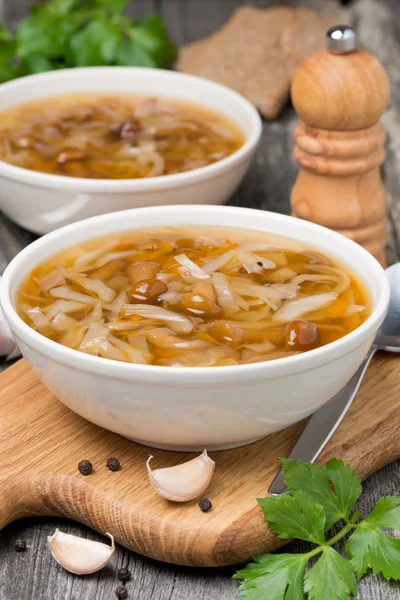 Traditionell rysk kålsoppa (shchi) med svamp — Stockfoto