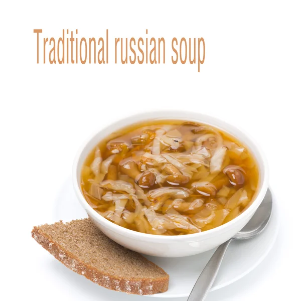 Tradiční ruská zelná polévka (shchi) s hříbky — Stock fotografie