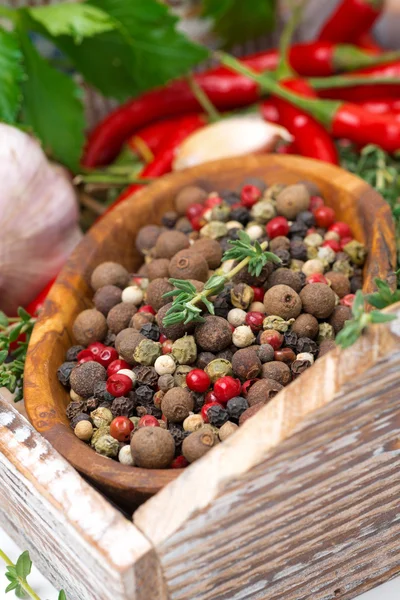Träskål med diverse torkad paprika, färska örter, vitlök — Stockfoto