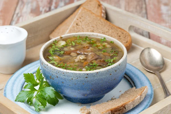 Bowl of mushroom soup with pearl barley on a tray — Stock fotografie