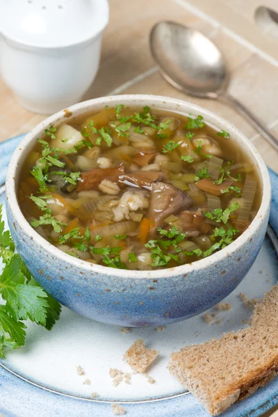 Semangkuk sup jamur dengan barley mutiara di atas nampan, close-up — Stok Foto