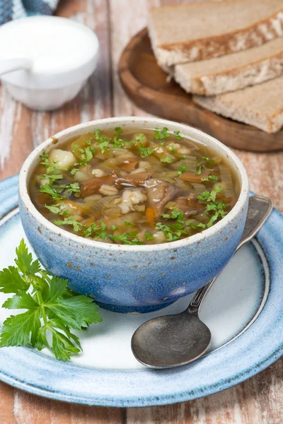 Semangkuk sup jamur dengan barley mutiara — Stok Foto