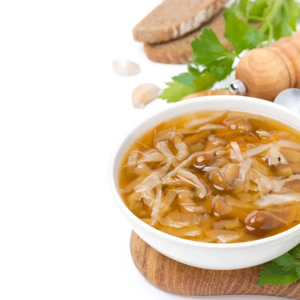 Bowl of traditional Russian cabbage soup (shchi) — Stock Photo, Image