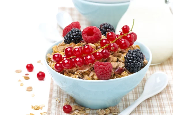 Deliciosa granola en el bowl con bayas frescas y jarra de leche — Foto de Stock