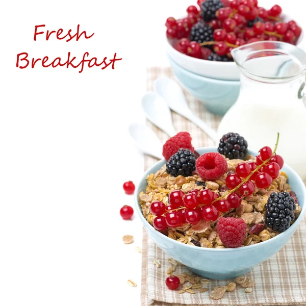 Leckeres Müsli mit frischen Beeren und Milchkrug, isoliert — Stockfoto