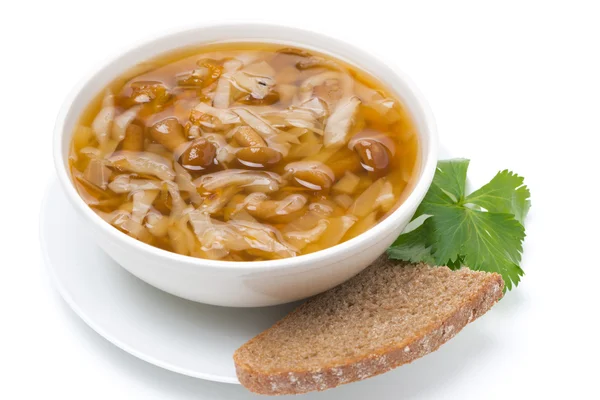 Traditional Russian cabbage soup shchi with mushrooms, isolated — Stock Photo, Image