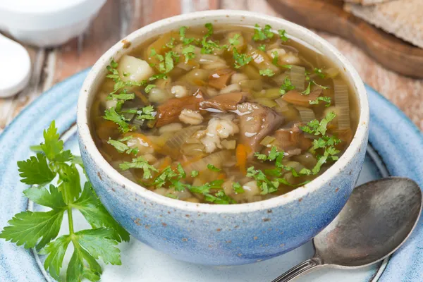 Sopa de champiñones con cebada perlada, vista superior —  Fotos de Stock