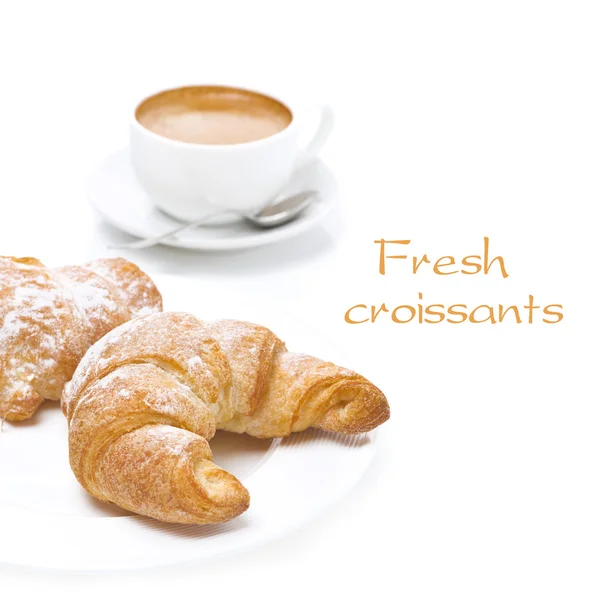 Croissants frescos e xícara de café, isolado — Fotografia de Stock