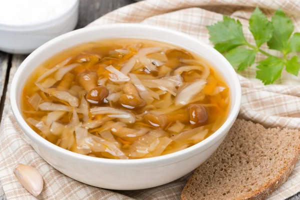 Traditional Russian cabbage soup (shchi) with wild mushrooms — Stock Photo, Image