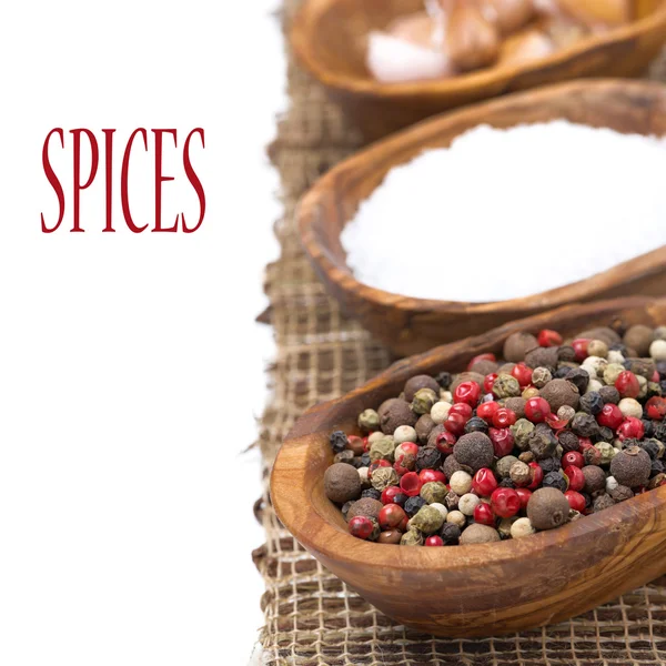 Assorted hot pepper and sea salt in a bowls, close-up, isolated — Stock Photo, Image