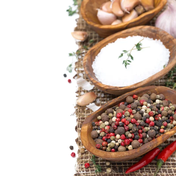 Hot pepper and sea salt in a bowls, isolated — Stock Photo, Image