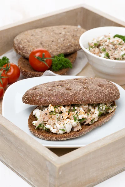 Sandwich de pan de centeno con atún y queso casero en una bandeja — Foto de Stock