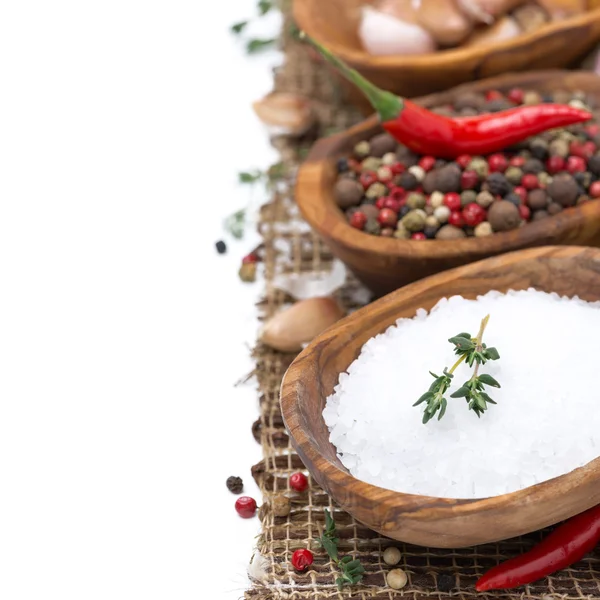 Sea salt, hot pepper and spices in wooden bowls, isolated — Stock Photo, Image