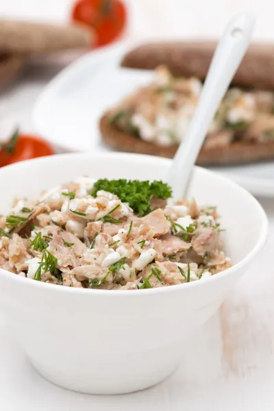 Pasztet z tuńczyka, domowej roboty ser i Koper w misce — Zdjęcie stockowe