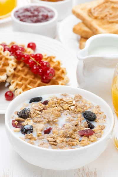 Muesli with milk, waffles with berries, toast and jam