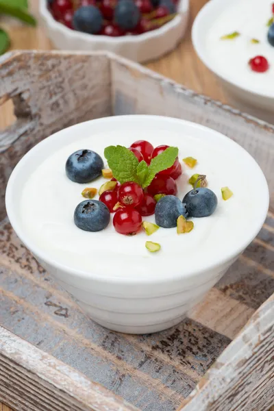 Natural yogurt with fresh berries and mint — Stock Photo, Image