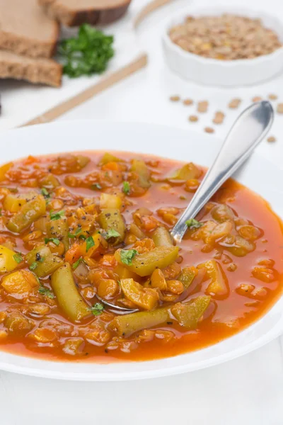 Sopa de tomate picante con lentejas verdes y verduras, vertical — Foto de Stock