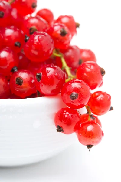 Bowl of red currant isolated, selective focus, close-up — Stock Photo, Image
