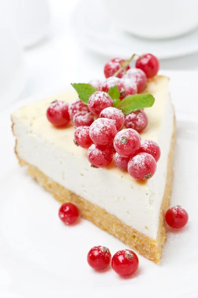 Vanilla cheesecake with red currants, close-up — Stock Photo, Image