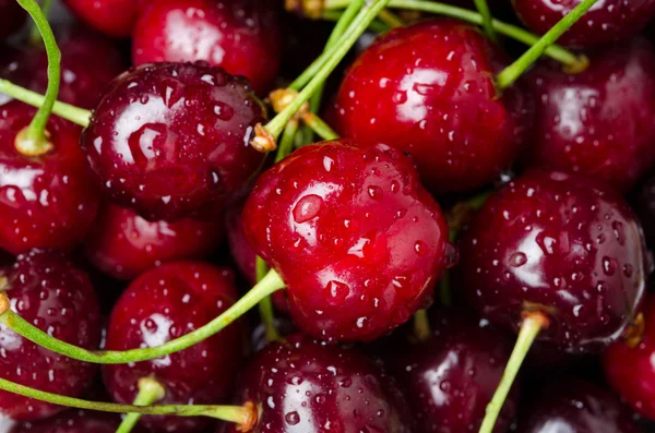 Fresh cherry background close-up, selective focus — Stock Photo, Image