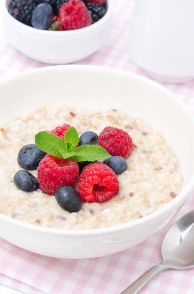 新鮮なベリーとオートミールの健康的な朝食 — ストック写真