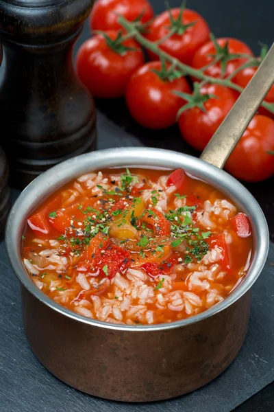 Würzige Tomatensuppe mit Reis, Gemüse und Kräutern in einem Topf — Stockfoto