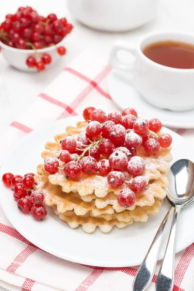 Belgian waffles with red currant, sprinkled with powdered sugar Royalty Free Stock Images