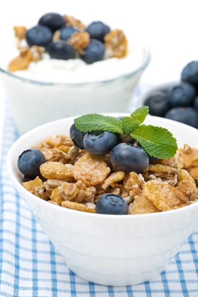 Delicious muesli, fresh blueberries and homemade yogurt — Stock Photo, Image
