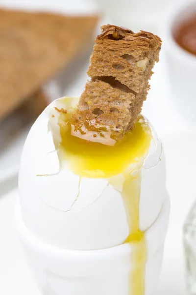 Ou fiert moale cu pâine prăjită, aproape — Fotografie de stoc gratuită