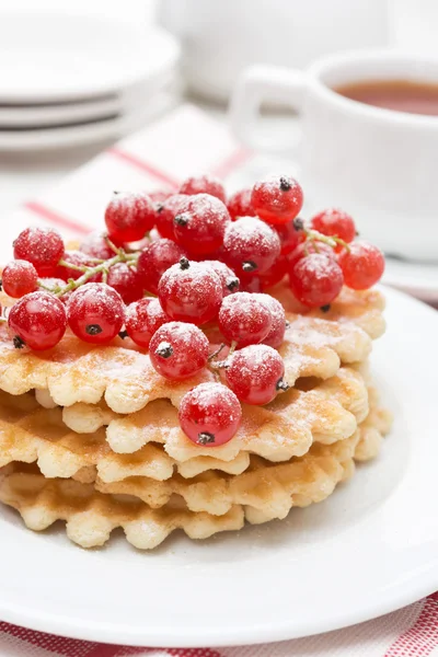 Belgian waffles with red currant, sprinkled with powdered sugar — Stock Photo, Image