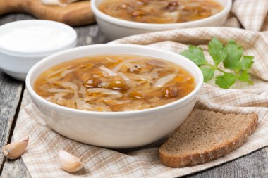 mantar ile geleneksel Rus lahana çorbası (shchi)