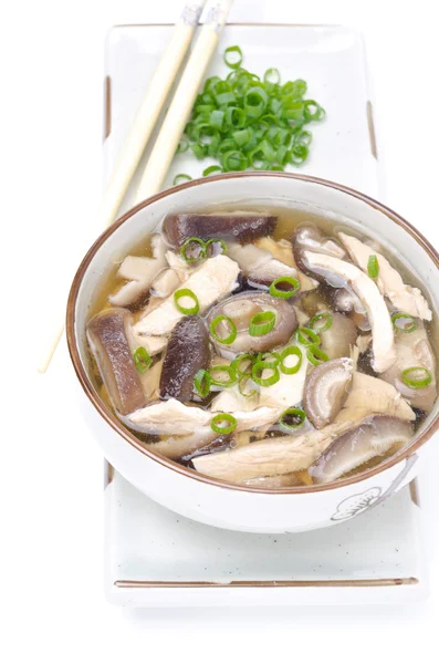 Zuppa cinese con pollo e funghi shiitake isolati — Foto Stock