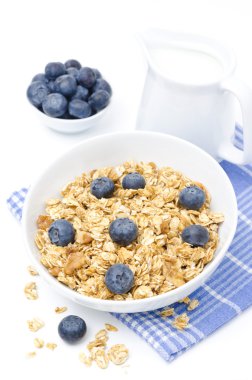 ev yapımı granola, yaban mersini ve izole süt kabı