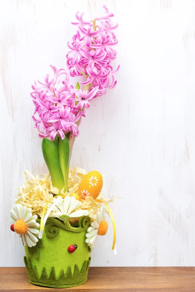 Beautiful pink hyacinth in flower pot on a wooden background — Stock Photo, Image