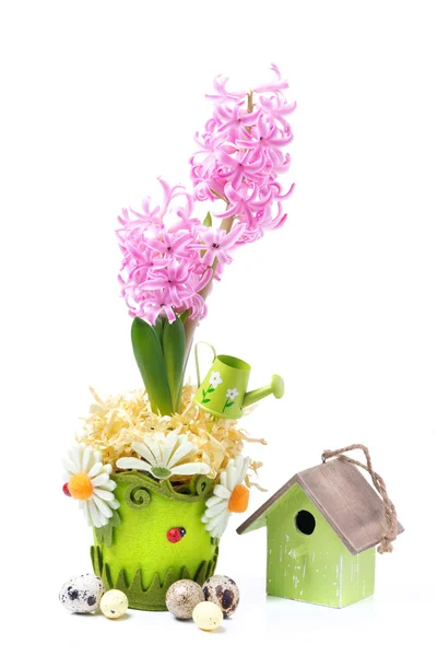 Composición de Pascua con jacinto rosa, pajarera y huevos —  Fotos de Stock